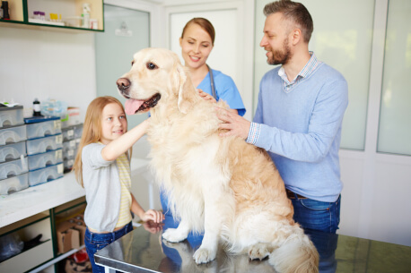 veterinary clinic